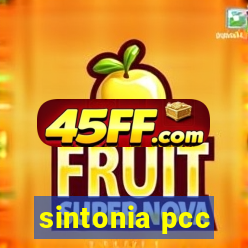 sintonia pcc